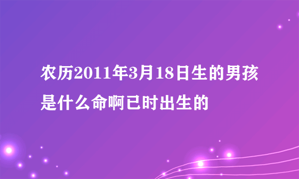 农历2011年3月18日生的男孩是什么命啊已时出生的