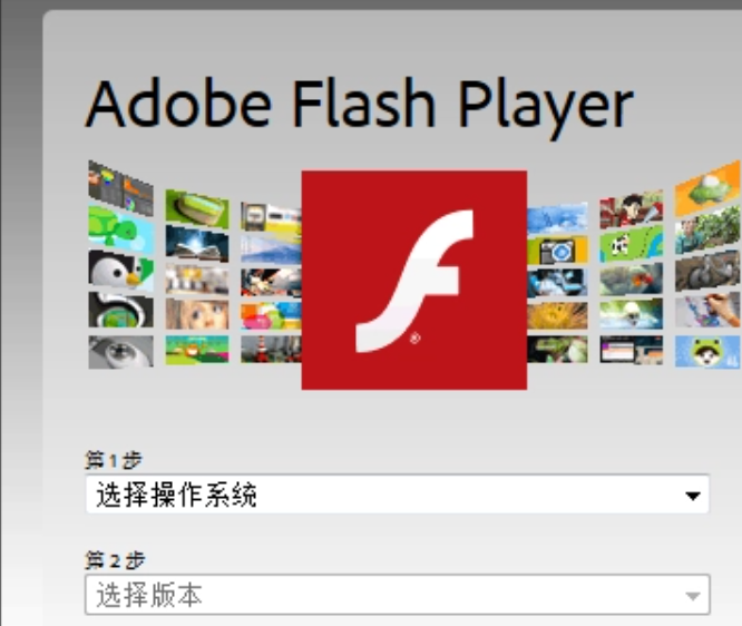 adobe flash player是什么？