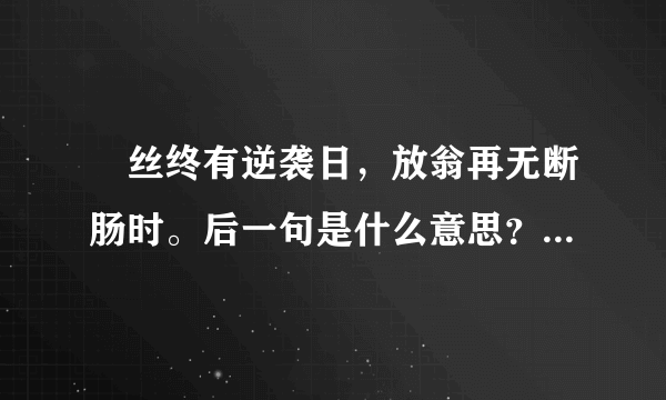 屌丝终有逆袭日，放翁再无断肠时。后一句是什么意思？请高手具体解释