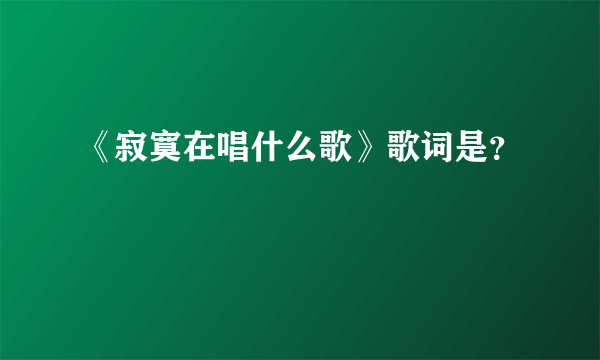 《寂寞在唱什么歌》歌词是？