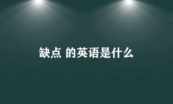 缺点 的英语是什么