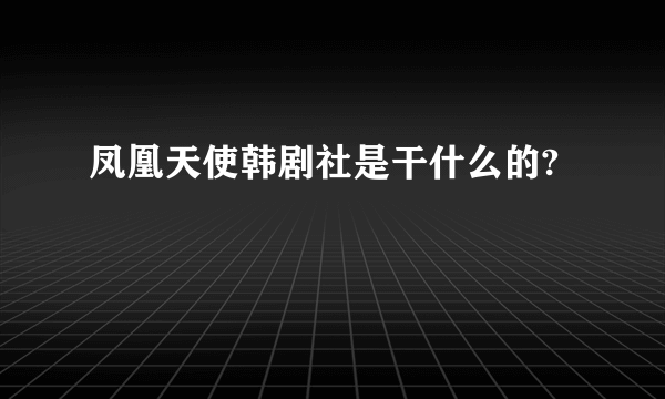 凤凰天使韩剧社是干什么的?