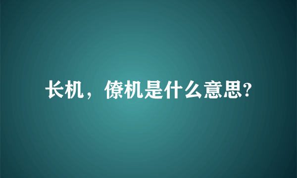 长机，僚机是什么意思?