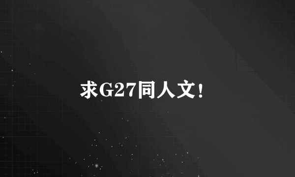 求G27同人文！