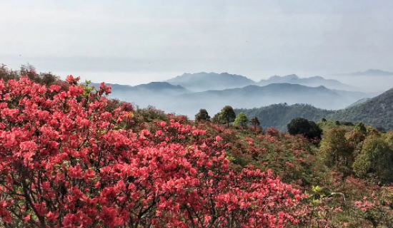 深圳好玩的地方推荐前十