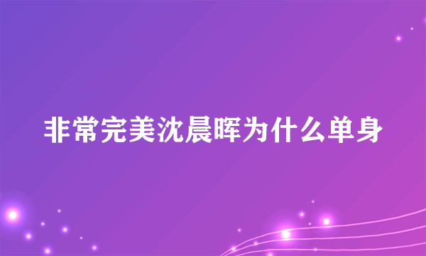 非常完美沈晨晖为什么单身