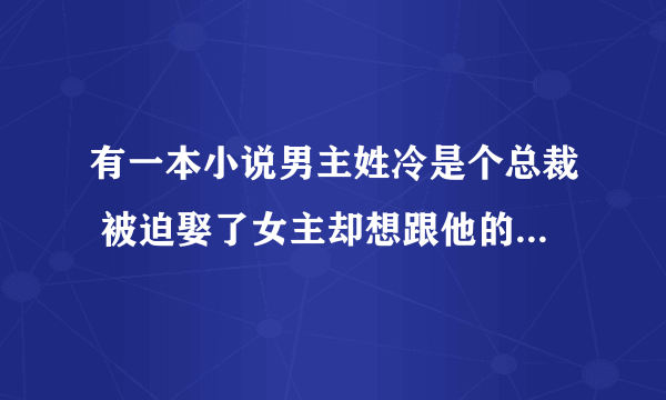 有一本小说男主姓冷是个总裁 被迫娶了女主却想跟他的秘书在一起 后来女主离开他了才发现自己爱上了她