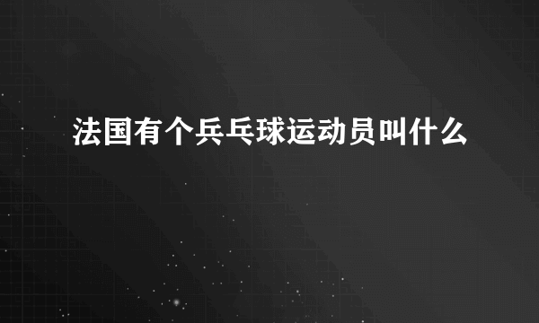 法国有个兵乓球运动员叫什么