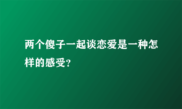 两个傻子一起谈恋爱是一种怎样的感受？