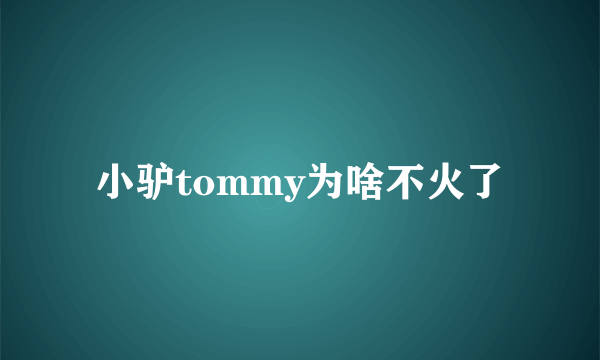 小驴tommy为啥不火了