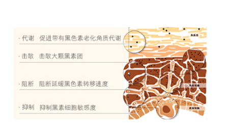 有什麼特效去斑