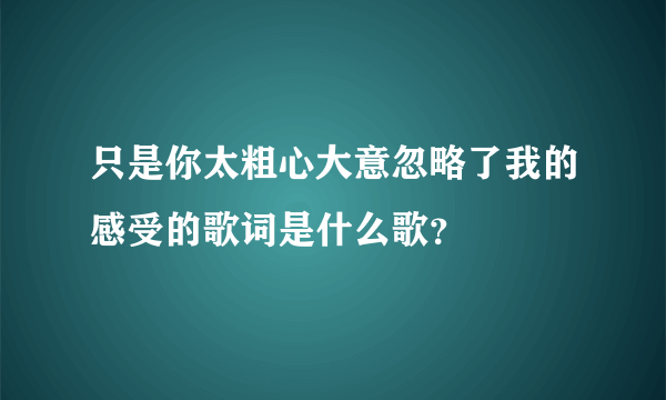 只是你太粗心大意忽略了我的感受的歌词是什么歌？