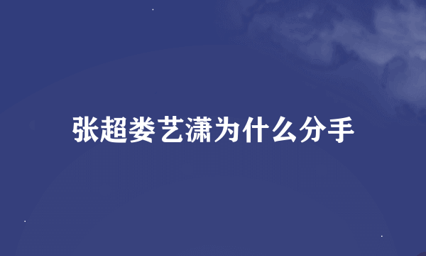 张超娄艺潇为什么分手