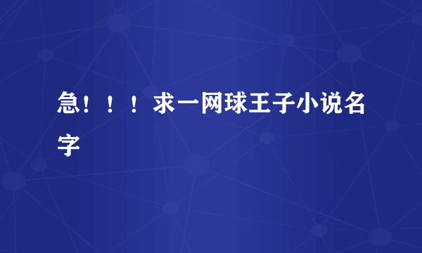 急！！！求一网球王子小说名字