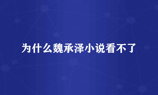 为什么魏承泽小说看不了