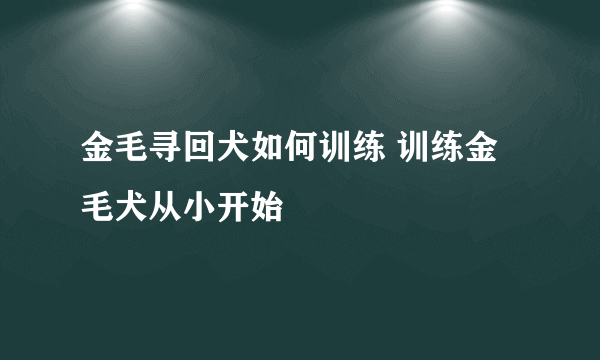 金毛寻回犬如何训练 训练金毛犬从小开始