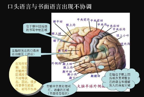 写话是什么意思？