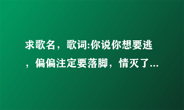 求歌名，歌词:你说你想要逃，偏偏注定要落脚，情灭了爱熄灭，剩下空心要不要