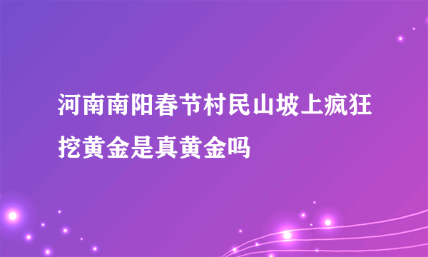 河南南阳春节村民山坡上疯狂挖黄金是真黄金吗