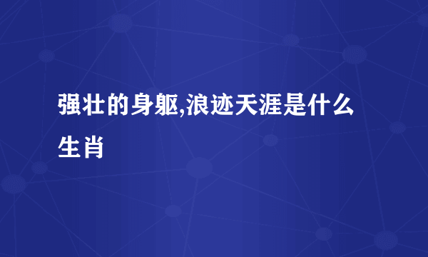 强壮的身躯,浪迹天涯是什么生肖