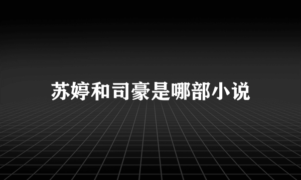 苏婷和司豪是哪部小说