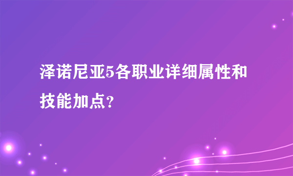 泽诺尼亚5各职业详细属性和技能加点？