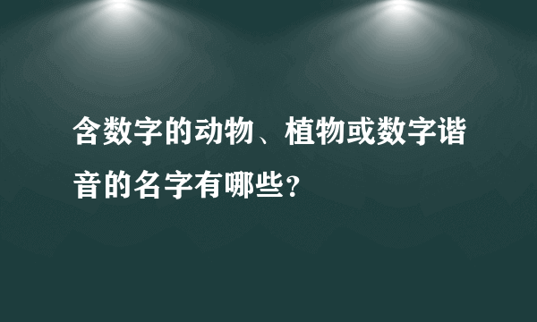 含数字的动物、植物或数字谐音的名字有哪些？