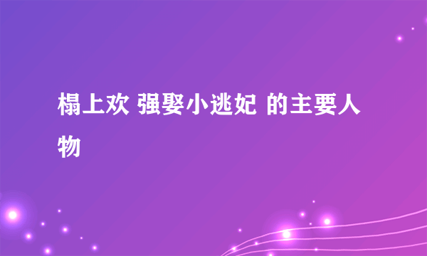 榻上欢 强娶小逃妃 的主要人物