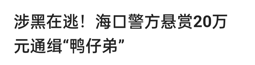 海口警方悬赏20万抓“鸭仔弟”！见到此人的时候怎么做才能赚到这二十万？