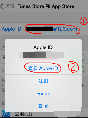 app store突然变成全英文怎么弄回来