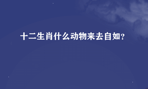 十二生肖什么动物来去自如？