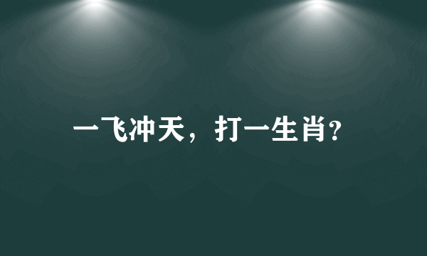 一飞冲天，打一生肖？