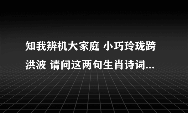 知我辨机大家庭 小巧玲珑跨洪波 请问这两句生肖诗词是什么意思，谢谢知道的告诉我一下，谢谢。。