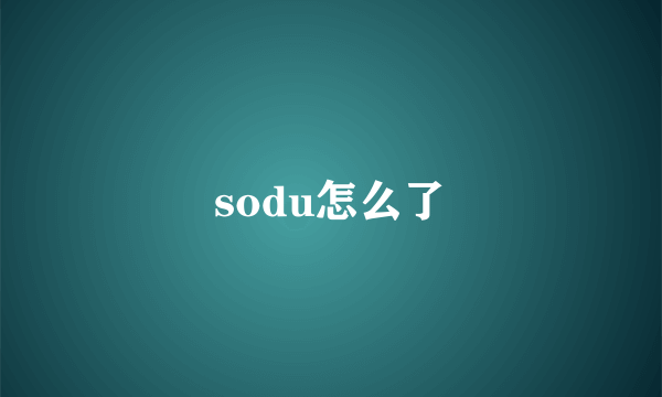 sodu怎么了