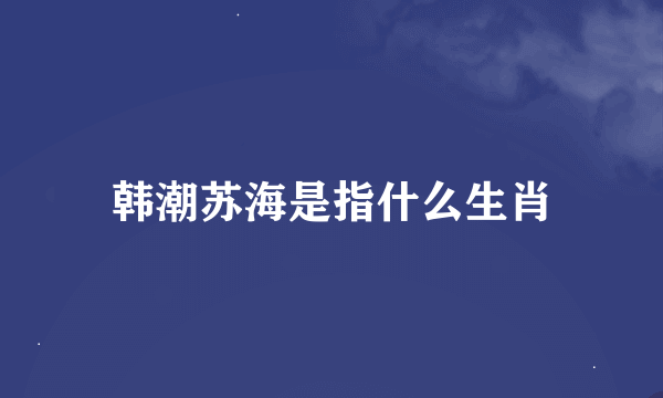 韩潮苏海是指什么生肖