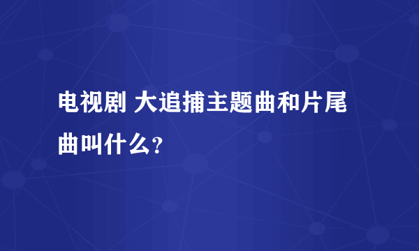 电视剧 大追捕主题曲和片尾曲叫什么？