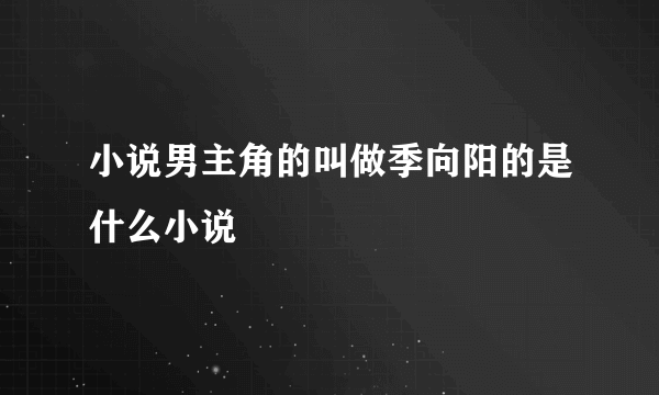 小说男主角的叫做季向阳的是什么小说