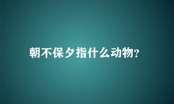 朝不保夕指什么动物？