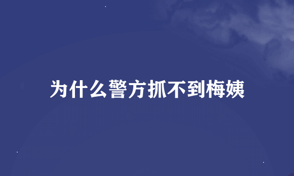 为什么警方抓不到梅姨