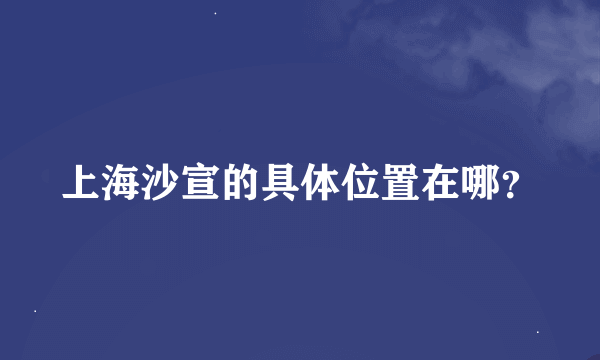 上海沙宣的具体位置在哪？