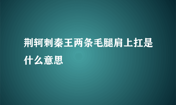 荆轲刺秦王两条毛腿肩上扛是什么意思