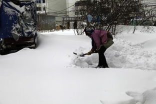 应对暴雪，哈尔滨进入临战状态，此次大暴雨天气将会有多恶劣？