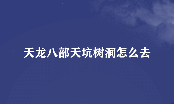 天龙八部天坑树洞怎么去