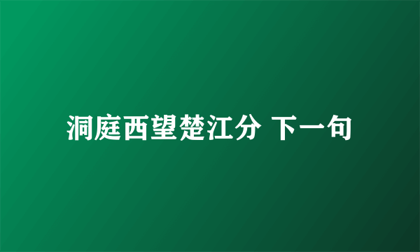 洞庭西望楚江分 下一句