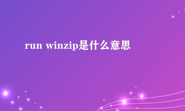 run winzip是什么意思