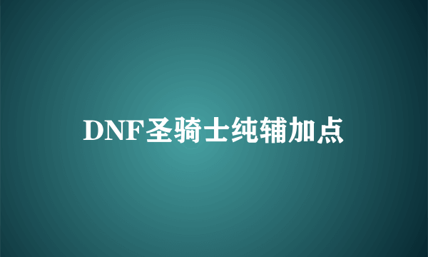 DNF圣骑士纯辅加点