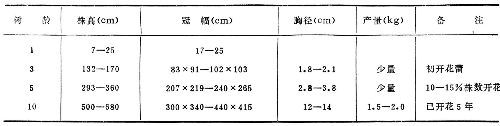 丁香有哪些特征？