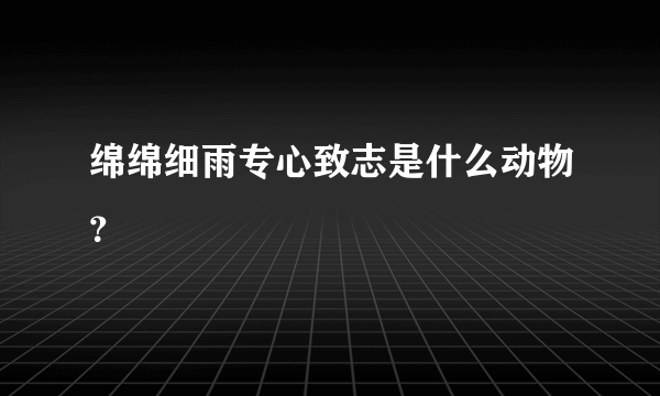 绵绵细雨专心致志是什么动物？