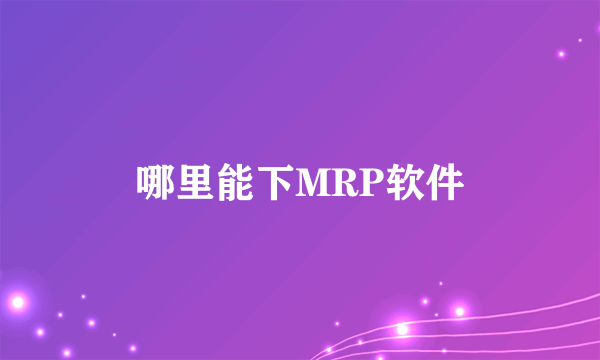 哪里能下MRP软件