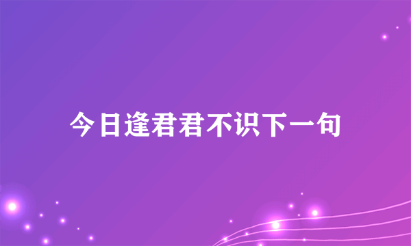 今日逢君君不识下一句